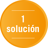 1 solución
